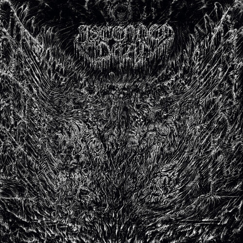 Ascended Dead Evenfall Of The Apocalypse - Record Album - Vinyl LP