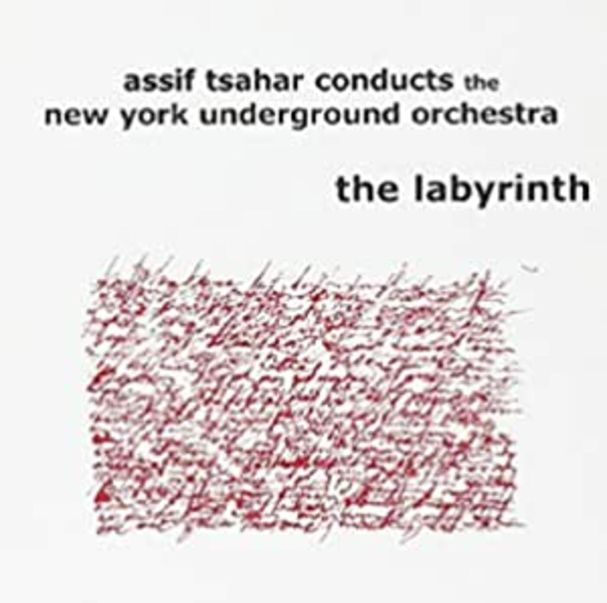 Assif conducts the NY Underground Orchestr Tsahar The Labyrinth