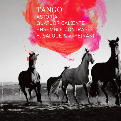 Astoria Tango - 4-Disc CD Album
