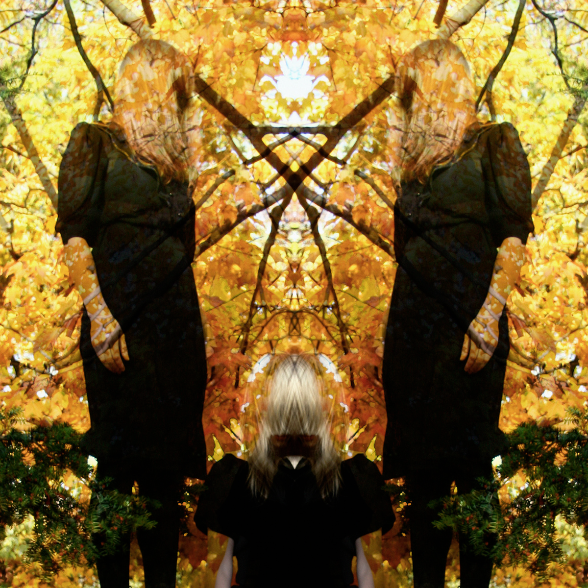 Austra Feel It Break