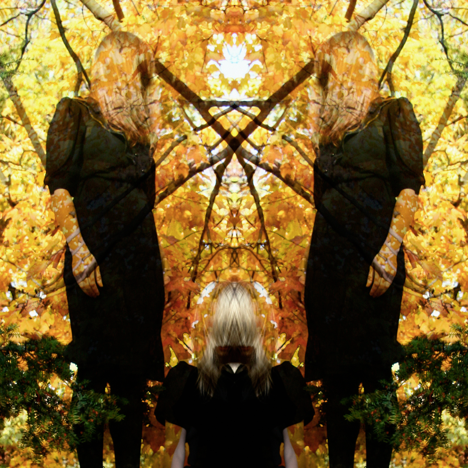 Austra Feel It Break