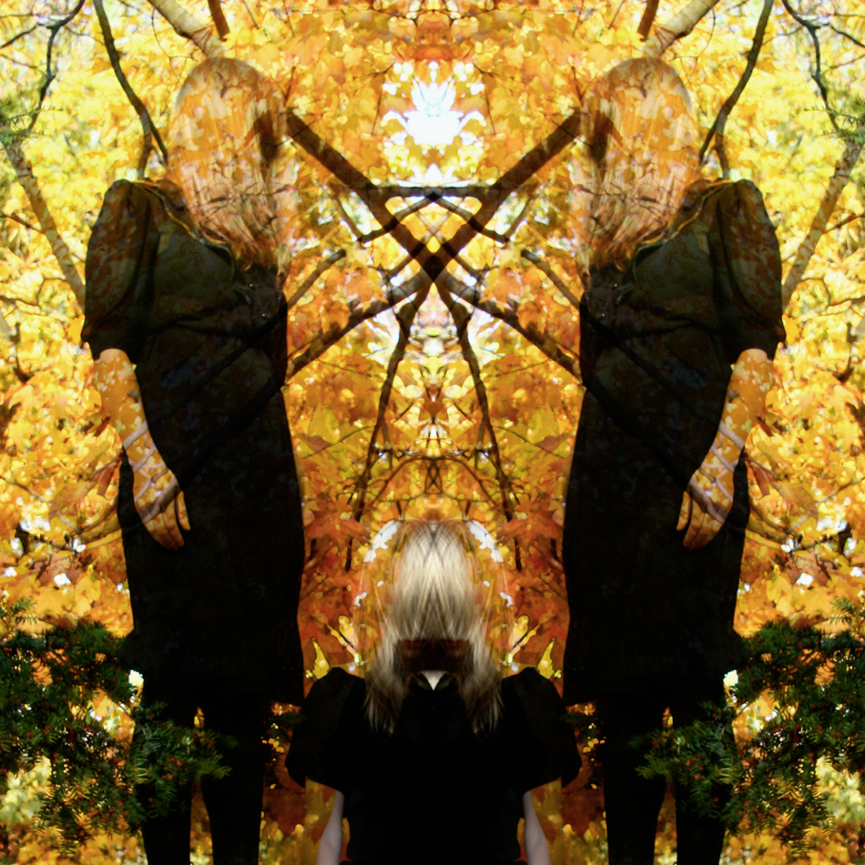 Austra Feel It Break