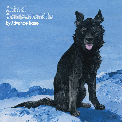 Avance Base Animal Companionship - Record Album - Vinyl LP