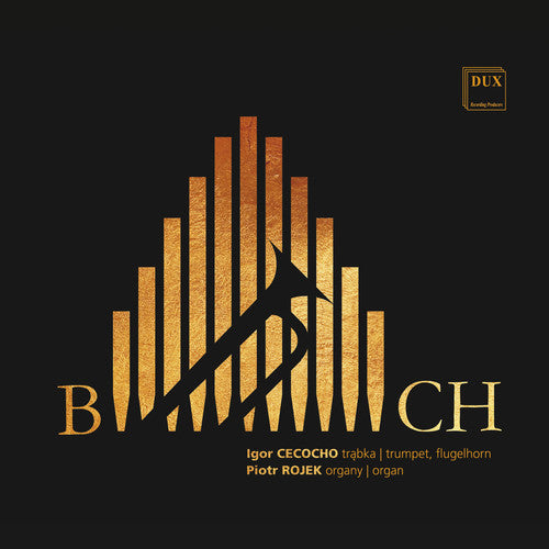 Bach, J.S. / Cecocho / Rojek Transcriptions Trumpet & Organ - CD Album