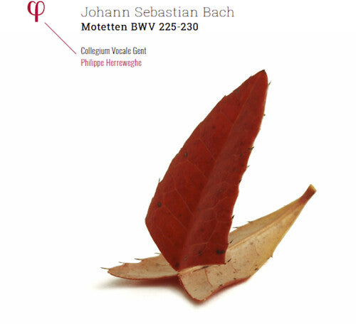 Bach, J.S. / Collegium Vocale Gent / Herreweghe Johann Sebastian Bach: Motetten BWV 225-230 - Record Album - Vinyl LP