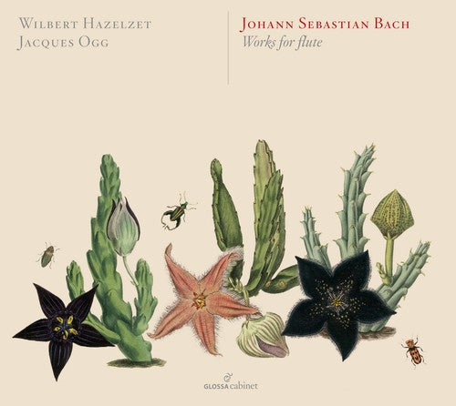 Bach, J.S. / Hazelzet / Ogg Bach: Works for Flute - 2-Disc CD Album