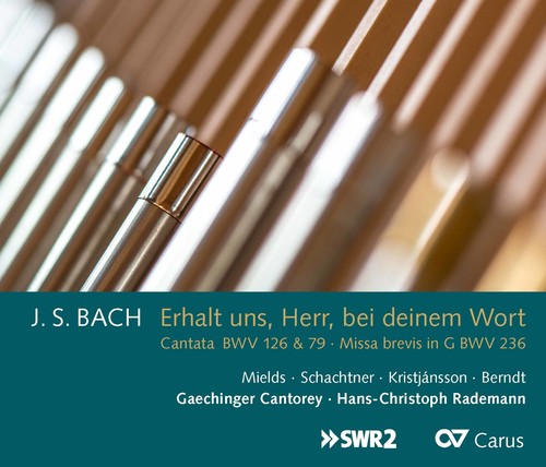 Bach, J.S. / Mields / Rademann JS Bach: Erhalt Uns, Herr, Bei Deinem Wort - CD Album