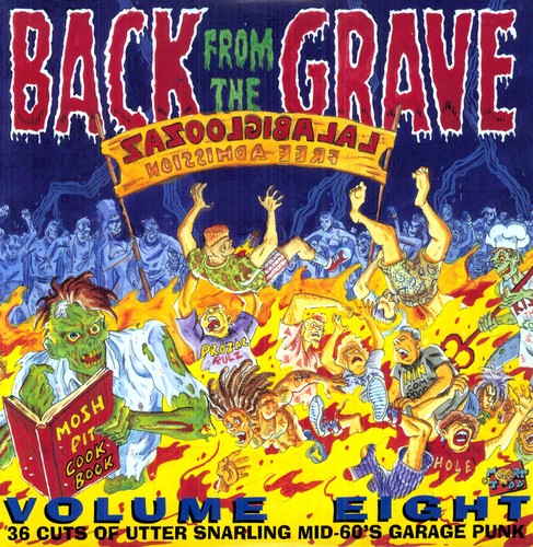 Back From the Grave 8 / Various Back From The Grave 8 / Various - Double Record Album - Vinyl LP