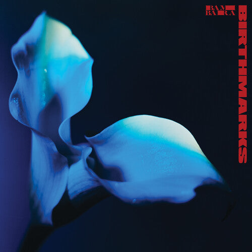 Bambara Birthmarks - Record Album - Vinyl LP