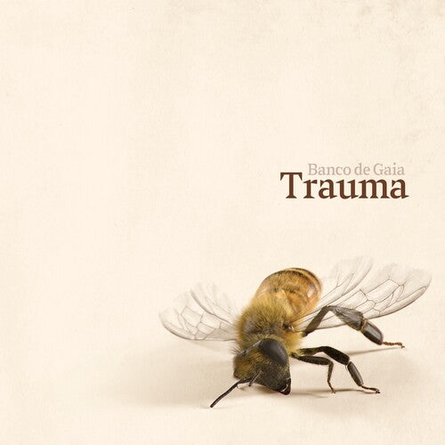 Banco de Gaia Trauma - Record Album - Vinyl LP
