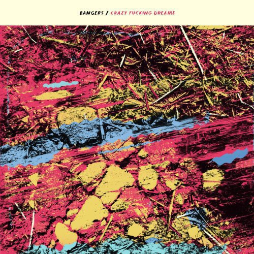 Bangers Crazy Fucking Dreams - Record Album - Vinyl LP