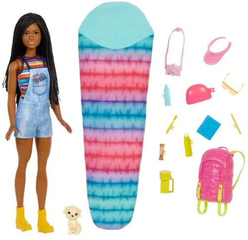Barbie Barbie Family Camping Brooklyn Doll - Collectibles