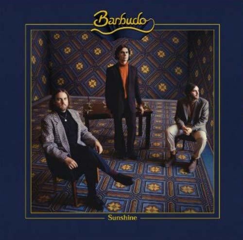 Barbudo Sunshine - Record Album - Vinyl LP