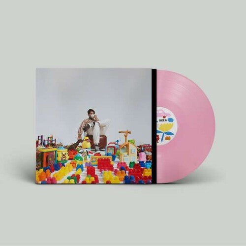 Barry Can'T Swim When Will We Land? - Record Album - Vinyl LP