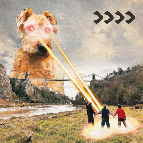 Beak Beak IIII - Record Album - Vinyl LP
