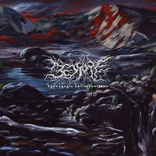 Bedsore Hypnagogic Hallucinations - Record Album - Vinyl LP