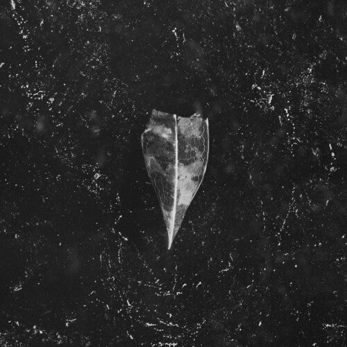 Bees Made Honey in the Vein Tree Aion - CD Album