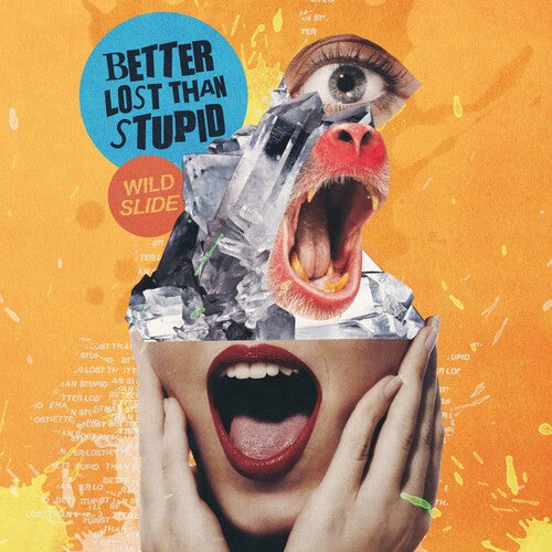 Better Lost Than Stupid Wild Slide - Double Record Album - Vinyl LP