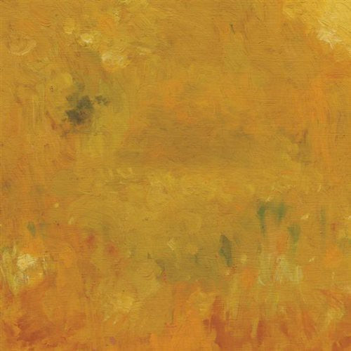 Bevel Where Leaves Block the Sun - CD Album