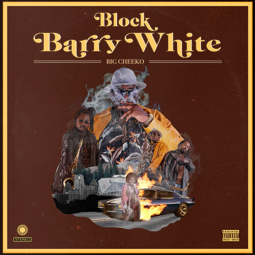 Big Cheeko Block Barry White - Record Album - Vinyl LP
