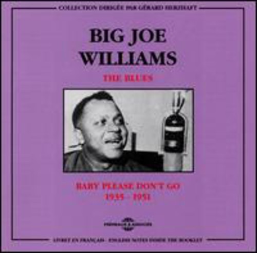 BIG JOE WILLIAMS Blues - 2-Disc CD Album