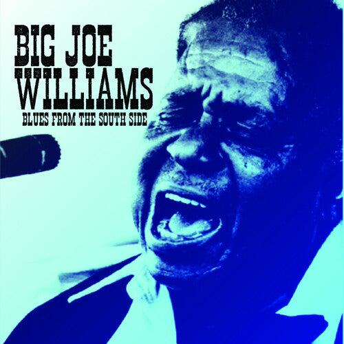 BIG JOE WILLIAMS Blues from the South Side - CD Album