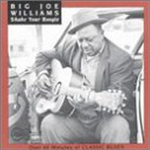 BIG JOE WILLIAMS Shake Your Boogie - CD Album