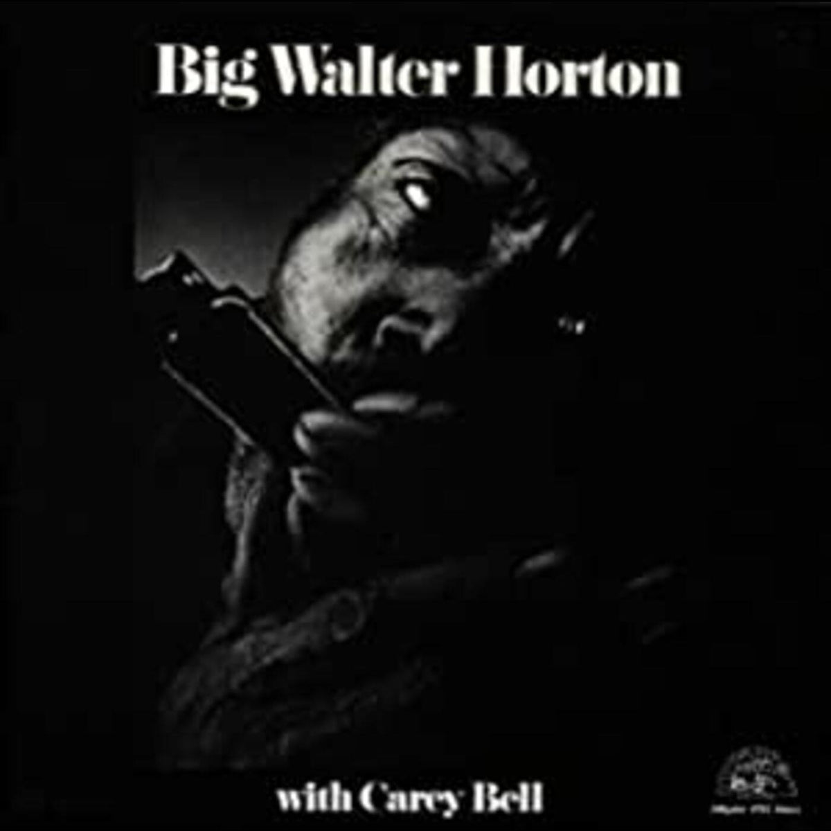 Big Walter Horton With Carey Bell