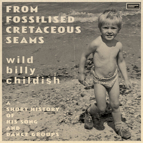 Billy Childish From Fossilised Cretaceous Seams: A Short History Of His Song And Dance Groups - Double Record Album - Vinyl LP