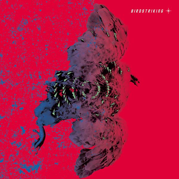 BIRDSTRIKING Birdstriking