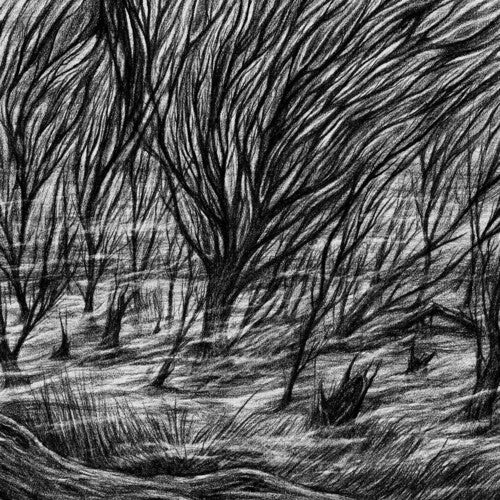 Bismuth The Eternal Marshes - Record Album - Vinyl LP