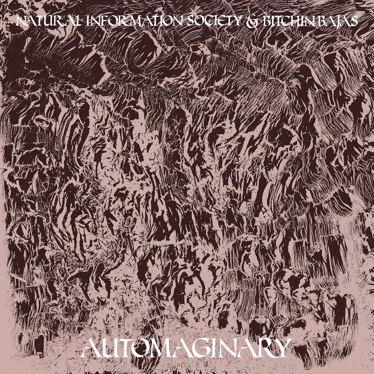 Bitchin Bajas & Natural Information Society Automaginary