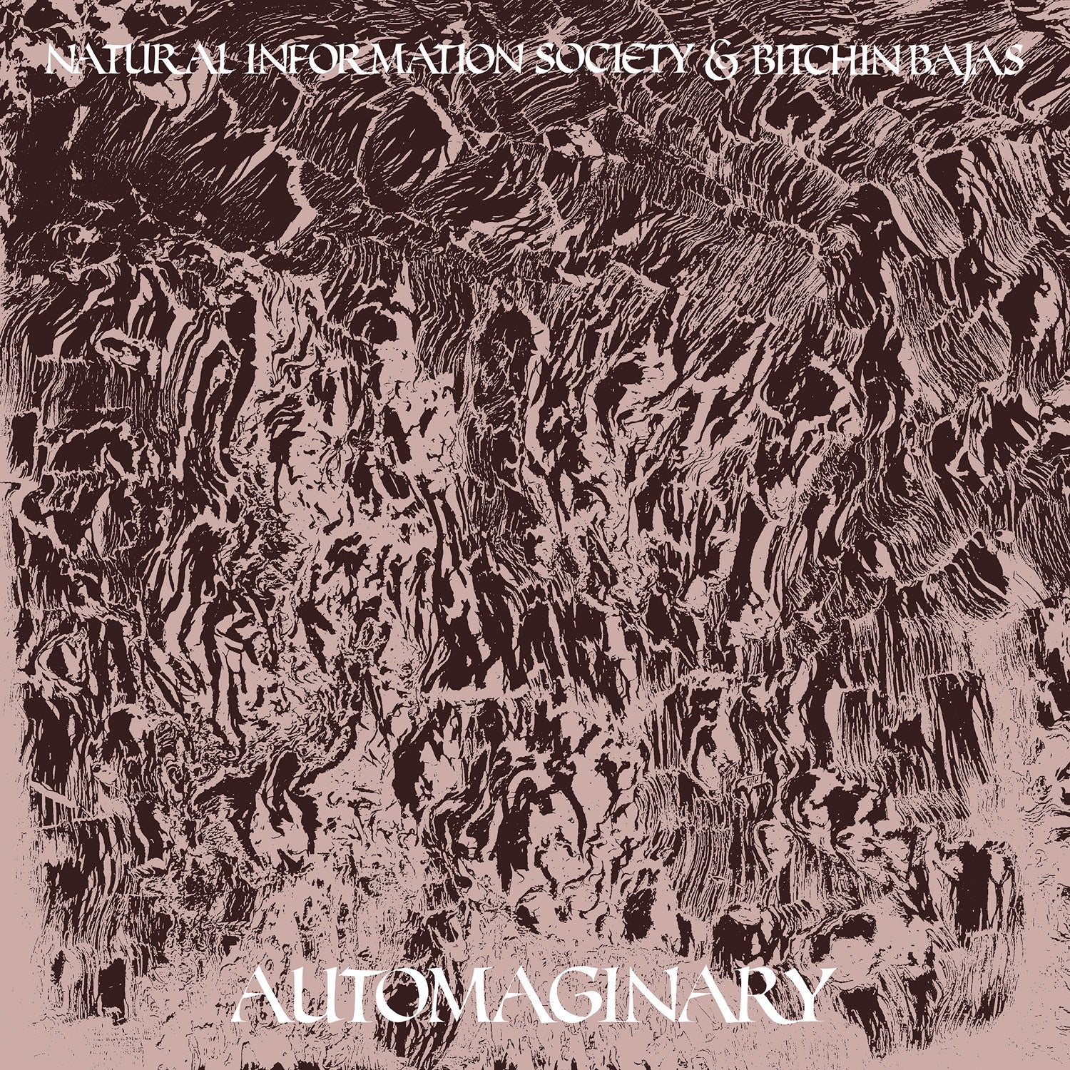 Bitchin Bajas & Natural Information Society Automaginary
