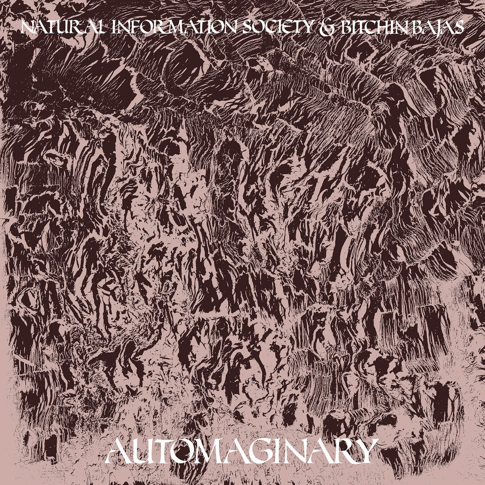 Bitchin Bajas & Natural Information Society Automaginary