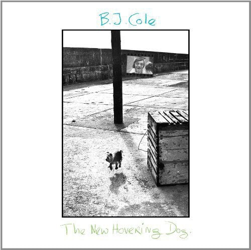 B.J. Cole New Hovering Dog - Record Album - Vinyl LP