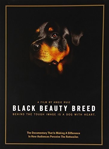 Black Beauty Breed - DVD