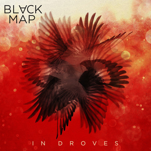 Black Map In Droves - Record Album - Vinyl LP