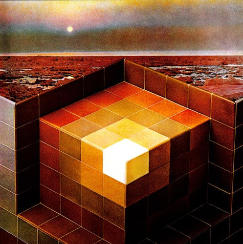 Black Mountain In the Future - Double Record Album - Vinyl LP