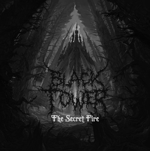 Black Tower Secret Fire - Record Album - Vinyl LP