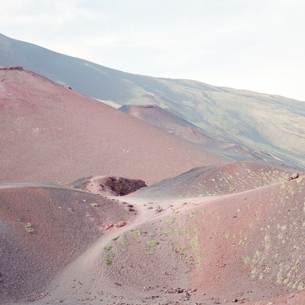 BLOMFELT & NARBY Peter, Barbara, Beth & Friends