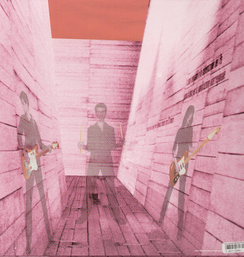 Blonde Redhead In An Expression of the Inexpressible - Record Album - Vinyl LP