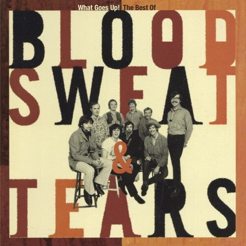 BLOOD SWEAT & TEARS What Goes Up! The Best Of - 2-Disc CD Album