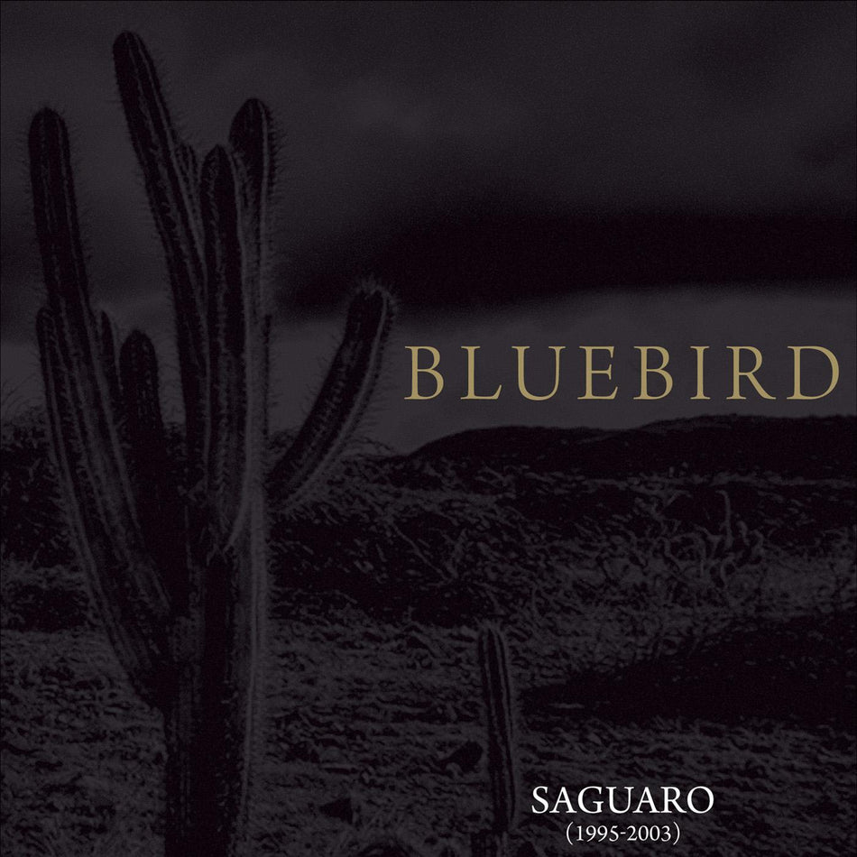 Bluebird Saguaro (1995-2003)