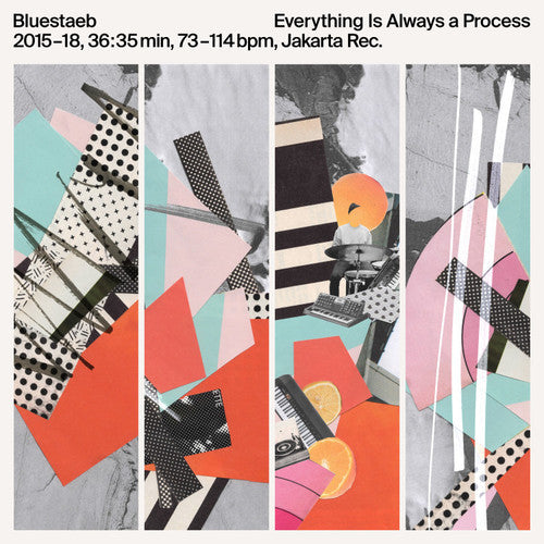 Bluestaeb Everything Is Always A Process - Record Album - Vinyl LP