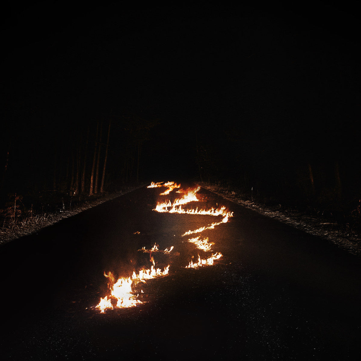 Bob Moses Battle Lines (Indie Exclusive, Clear Vinyl)