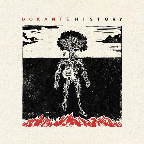 Bokante History - Record Album - Vinyl LP