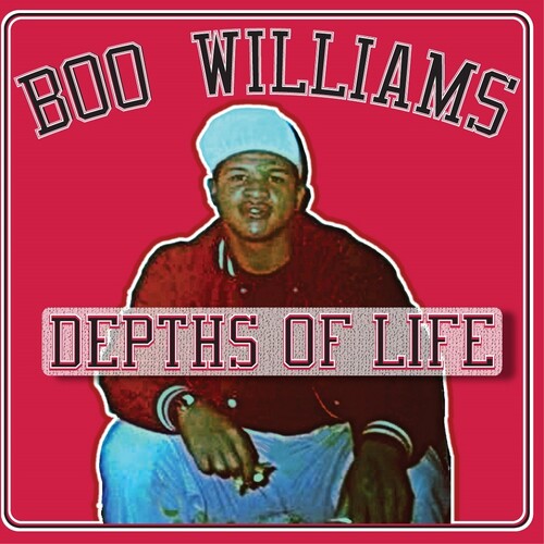BOO WILLIAMS Family Affair Vol. 1 (Various Artists) - Double Record Album - Vinyl LP