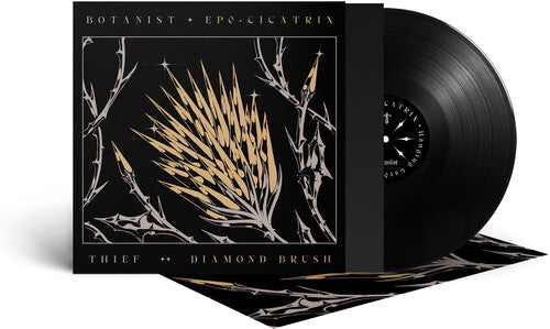 Botanist Cicatrix / Diamond Brush - Record Album - Vinyl LP