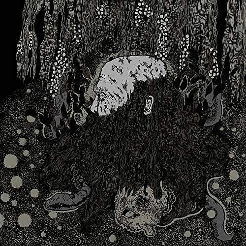 Botanist / Palace of Worms Split 1 - Hanging Gardens Of Hell & Ode To Joy - Record Album - Vinyl LP