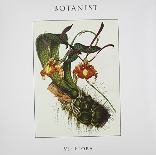 Botanist VI: Flora - Record Album - Vinyl LP